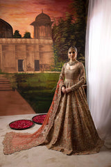 Rosewood Tissue Embroidered Ready to Wear Lehenga Choli