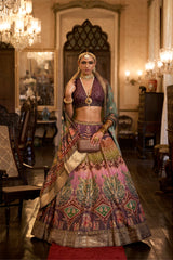 Wine Silk Sparkle Lehenga Choli