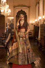 Brown Silk Sparkle Lehenga Choli