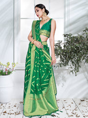 Green Organza Silk Chevron Woven Saree