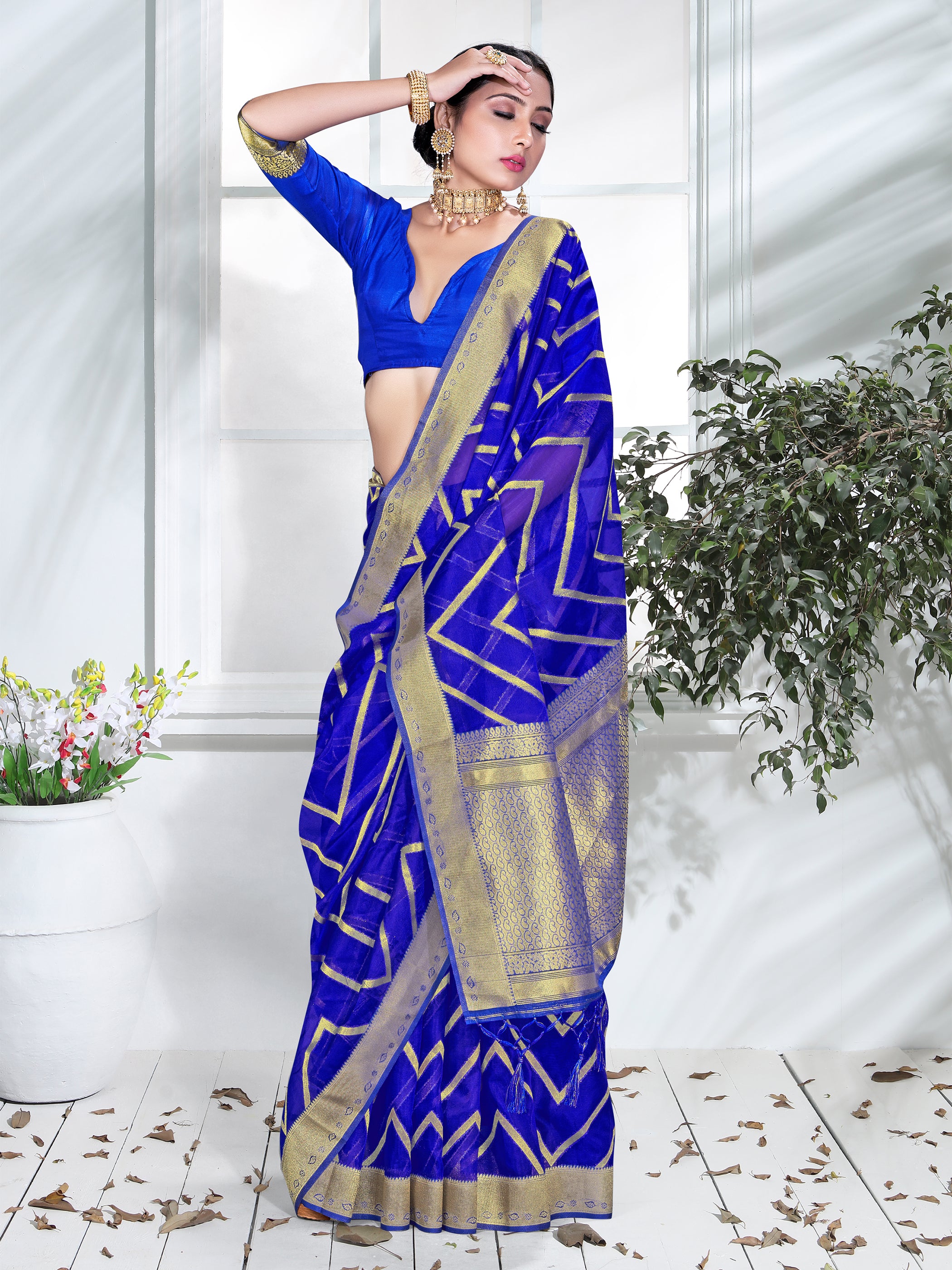 Blue Organza Silk Chevron Woven Saree