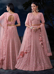 Lehenga Choli brodé en filet rose bébé