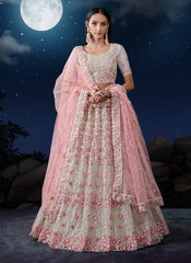 White Net Embroidered Lehenga Choli