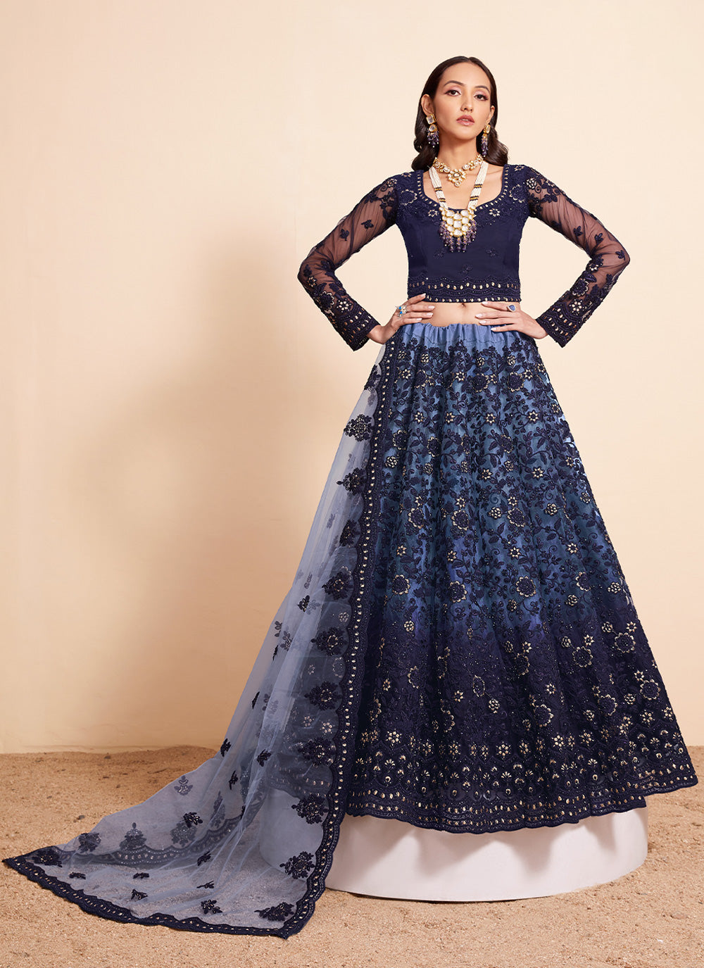 Blue Net Embroidered Lehenga Choli