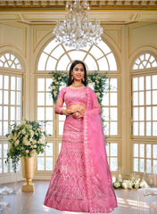 Pink Net Embroidery Lehenga Choli