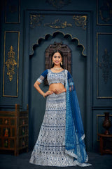 Blue Net Embroidery Lehenga Choli