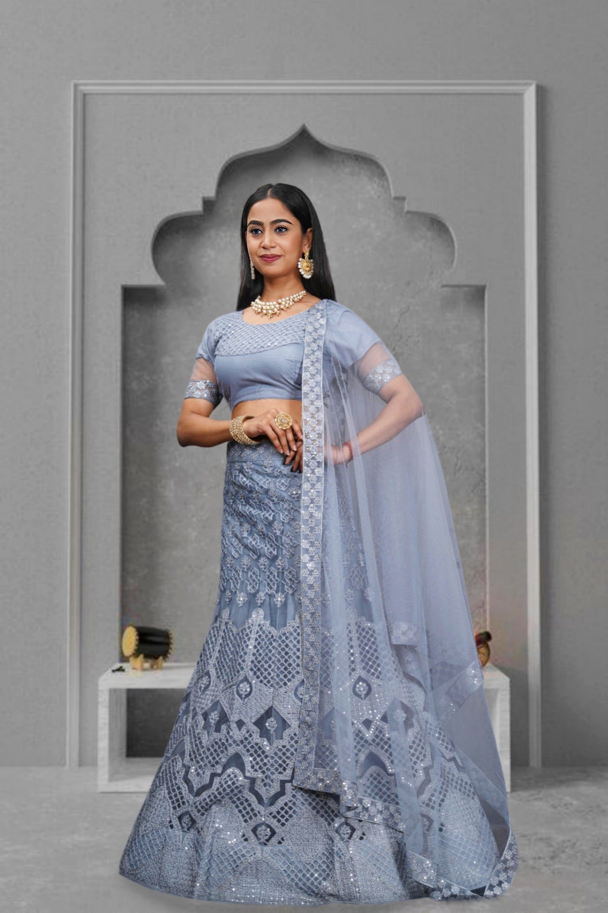 Grey Net Embroidery Lehenga Choli