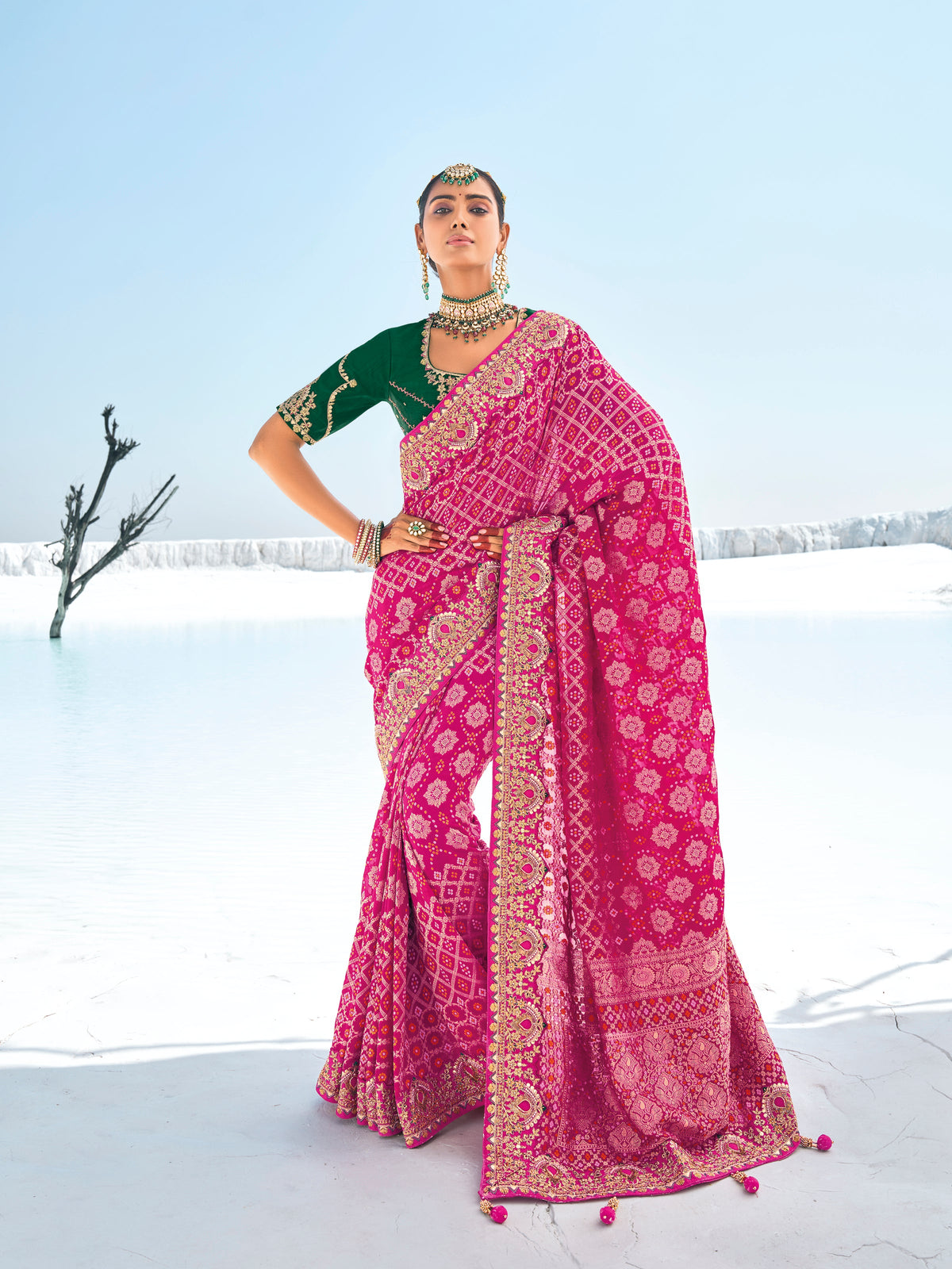 Rani Pink Georgette Woven Bandhej Patola Saree