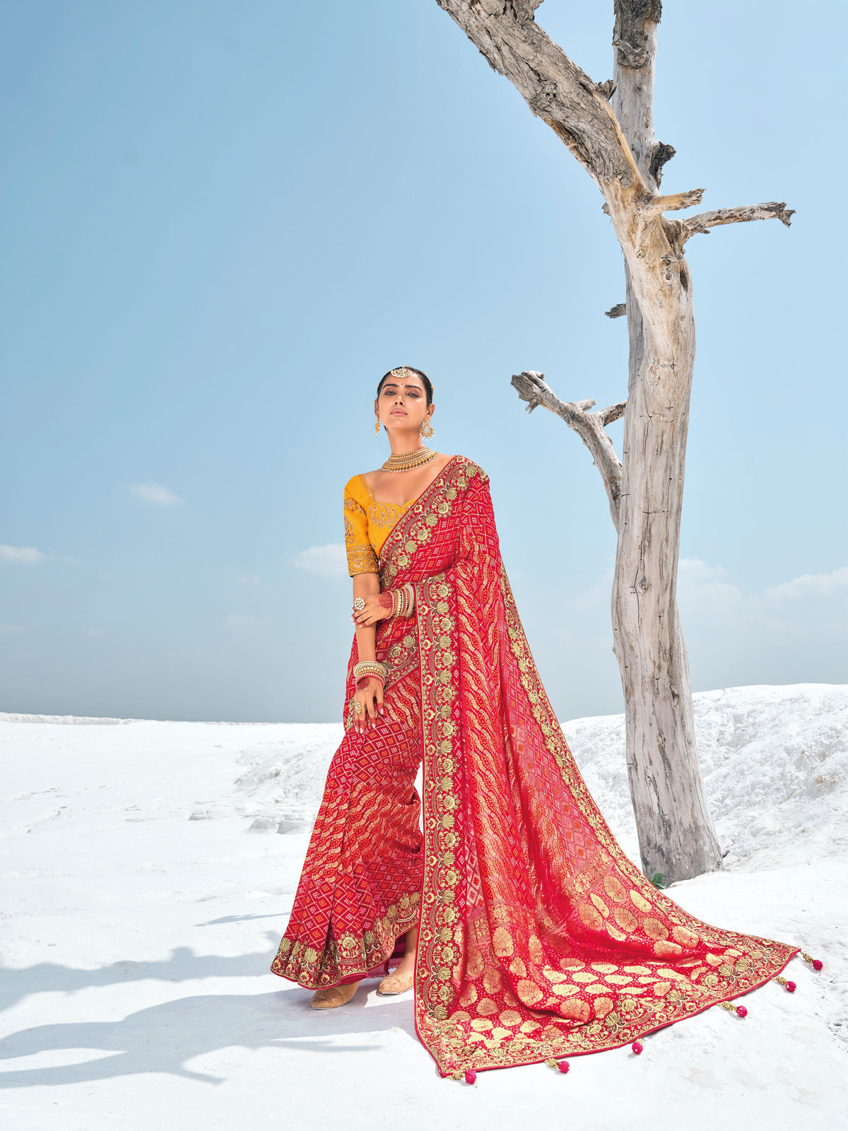 Saree de créateur Bandhani Patola tissé en Georgette rouge rose