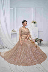 Brown Soft Net Embroidered Womens Lehenga Choli