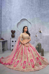 Brown Organza Silk  Embroidered Lehenga Choli