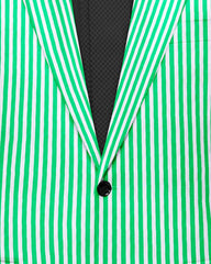 Green Men's Two Button Dress Party Stripe Print Suit Jacket Notched Lapel Slim Fit Stylish Blazer