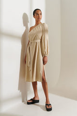 Linen One Sleeve Dress